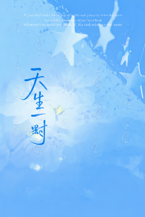 天生一对封面