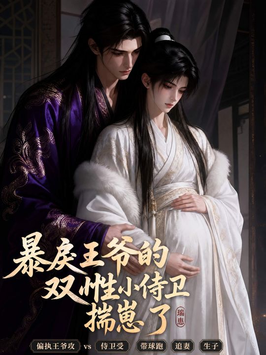 暴戾王爷的双性小侍卫揣崽了海报