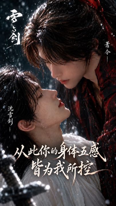 雪与剑海报