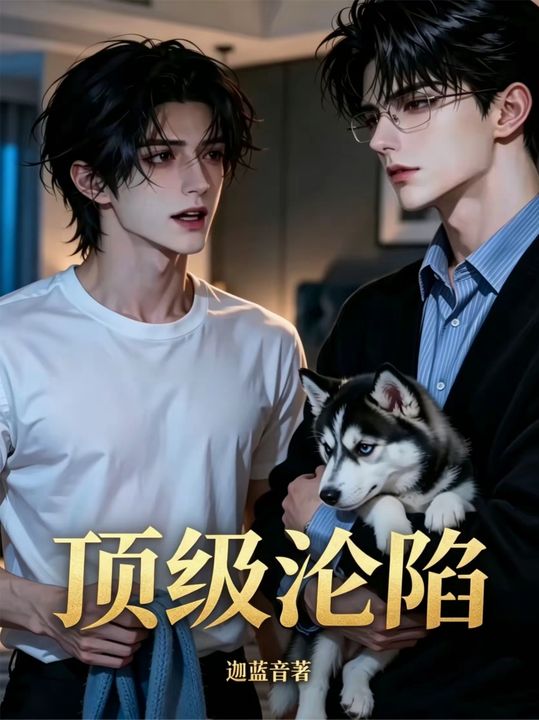 顶级沦陷封面