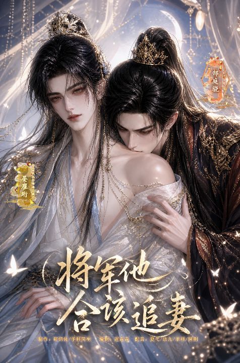 将军他合该追妻海报